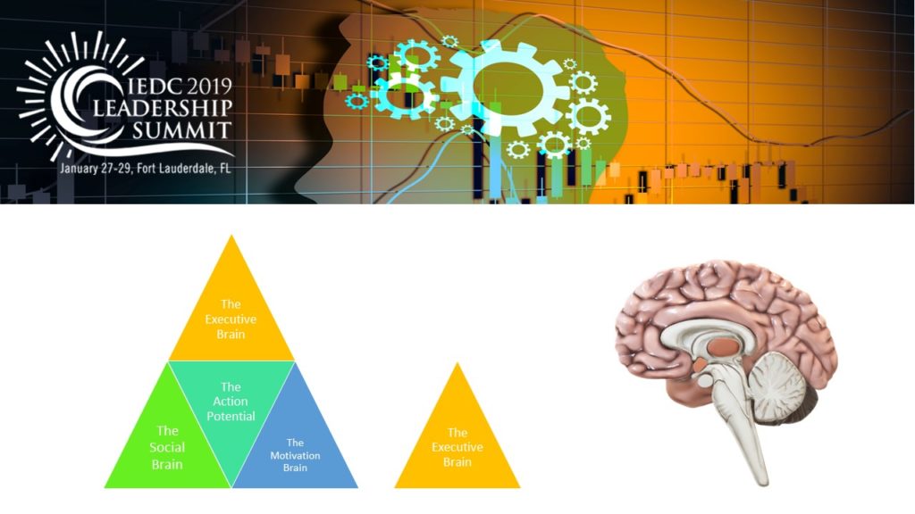 Intro Slide about the parts of the brain I'll be covering in this series