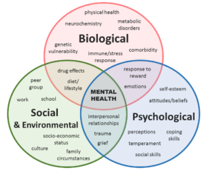 Venn Diagram of Mental Health