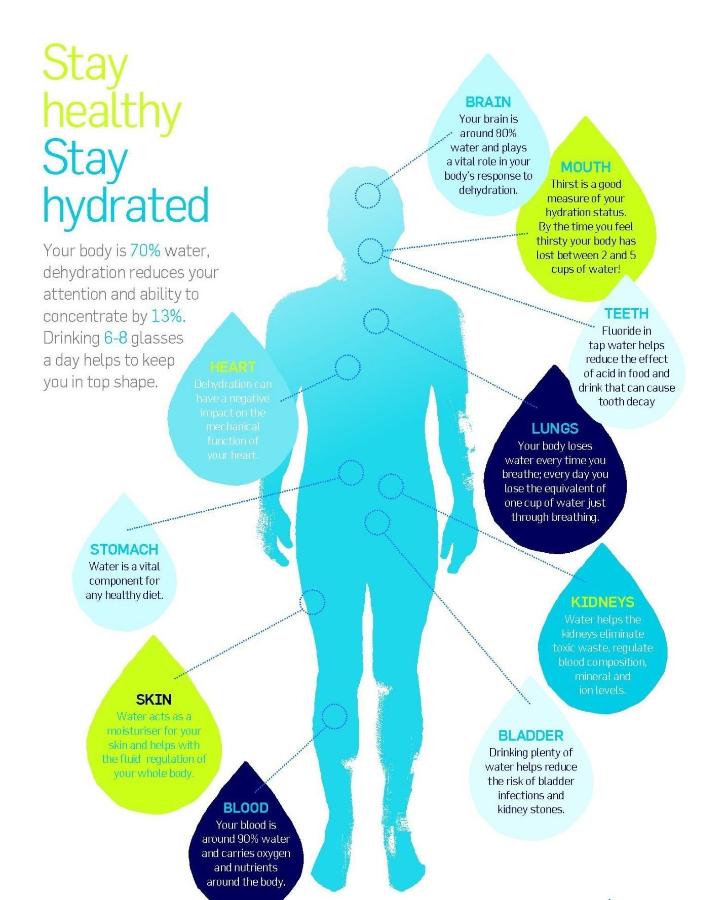 healthy-hydration-starts-with-water-but-does-not-end-there